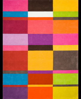 Contemporary Carpet - Patch